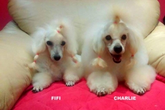FifI & CHARLIE